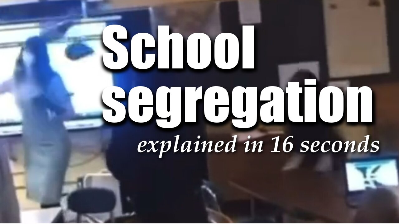 School segregation explained in 16 seconds