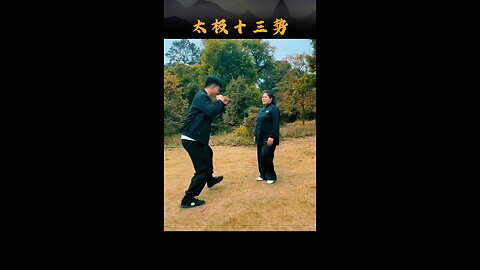 Chinese kung-fu