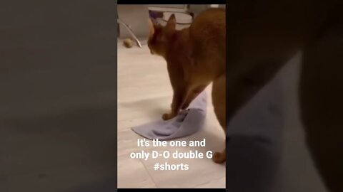 It's the one and only D-O double G #shorts