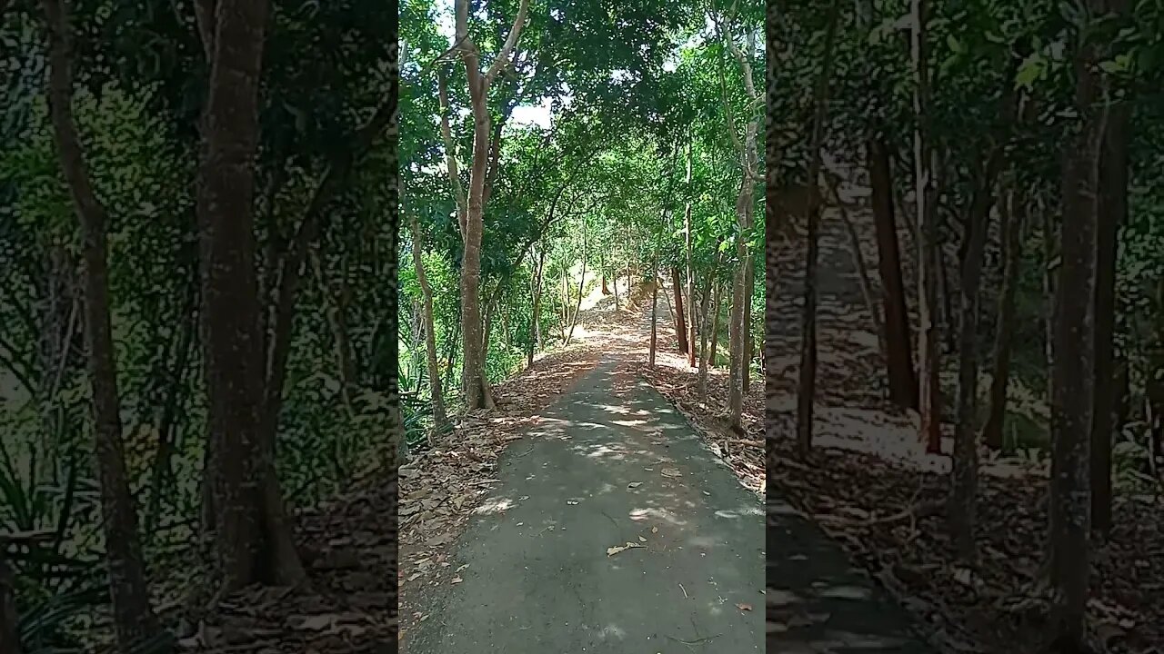 Pemandangan