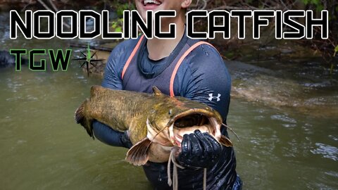 Episode 26: Noodling Catfish Sizzle Promo