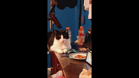 Jack takes over Grandpa's desk....