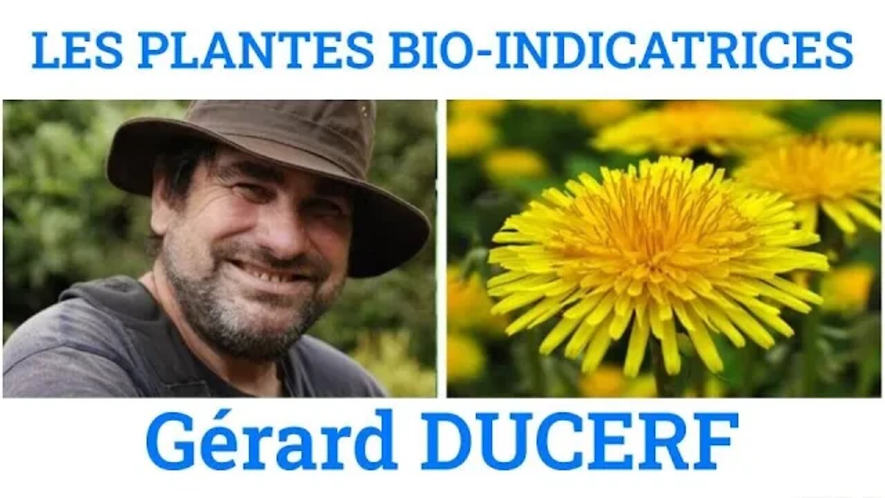 Les plantes bio indicatrices - Gérard Ducerf