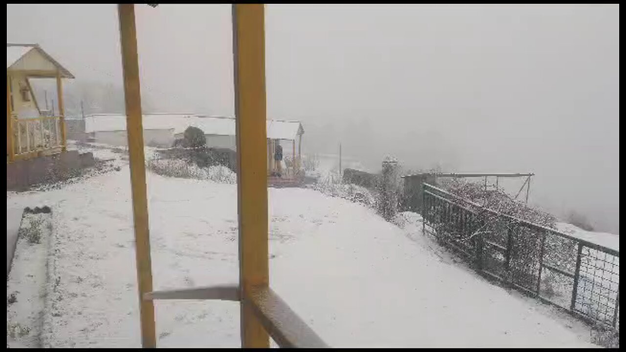 Nature.. Auli Himalaya uttrakhand India 🇮🇳