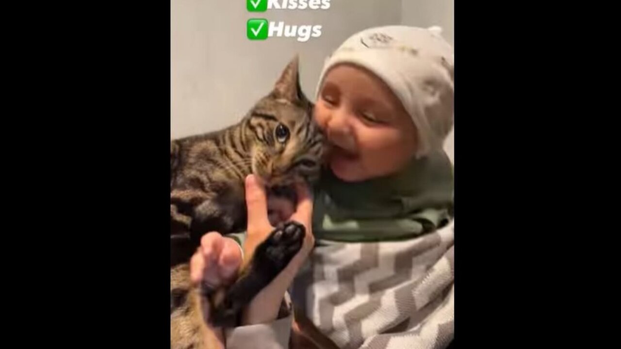 Mother cat snatches crying kitten from toddler