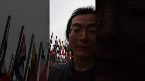 Flags