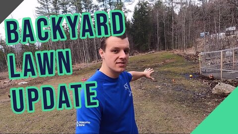 Backyard Lawn Update ||K31 Tall Fescue||