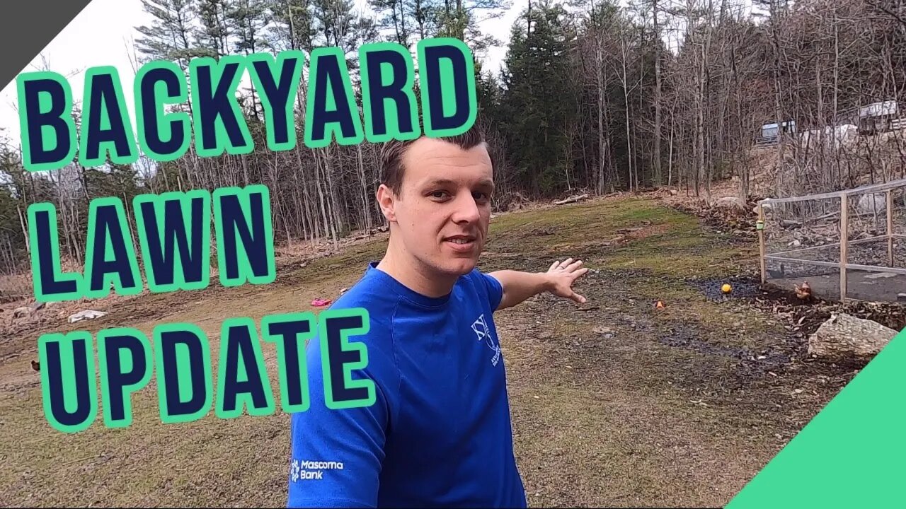 Backyard Lawn Update ||K31 Tall Fescue||