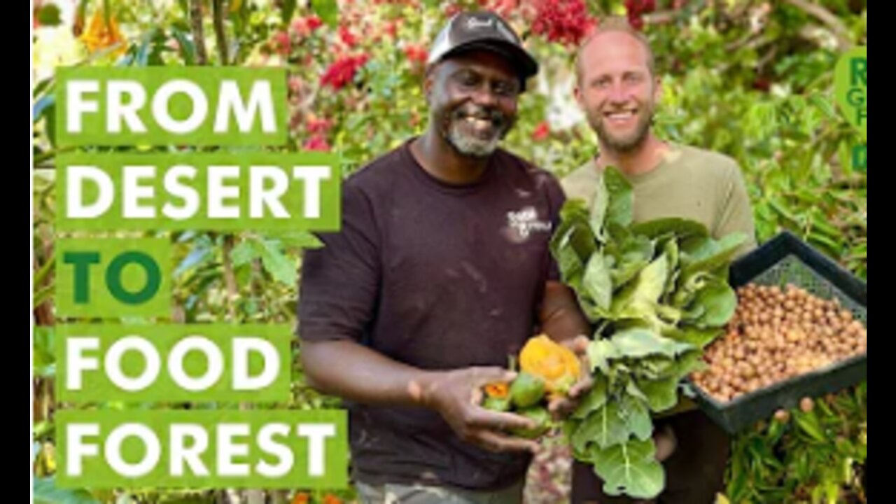 From Desert to Food Forest - A Transformation through Soil Regeneration!