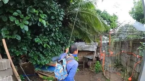 GETTING WORK DONE IN THE PHILIPPINES