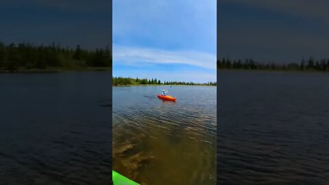 Kayaking over seaweed