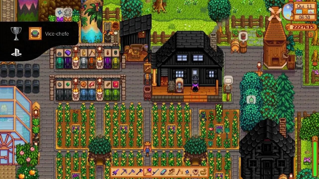 Stardew Valley