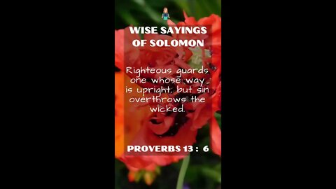 Proverbs 13:6 | Wise Sayings of Solomon