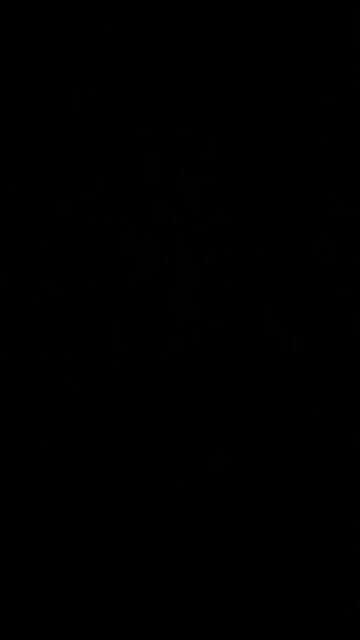 Americans in Israel 🇺🇸 🇮🇱