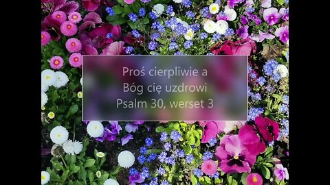 Proś cierpliwie a Bóg cię uzdrowi - Psalm 30 , werset 3