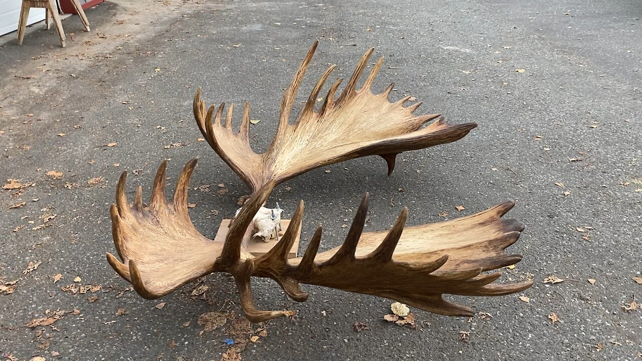 The Moose rack