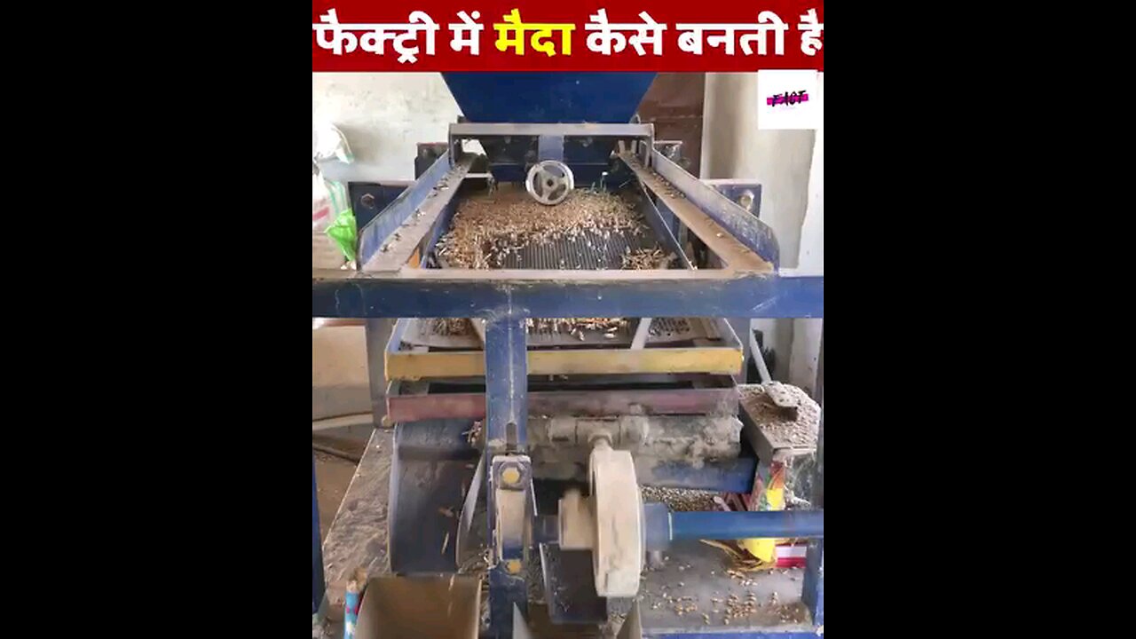 How flour is made in factory? फैक्ट्री में मैदा कैसे बनता है