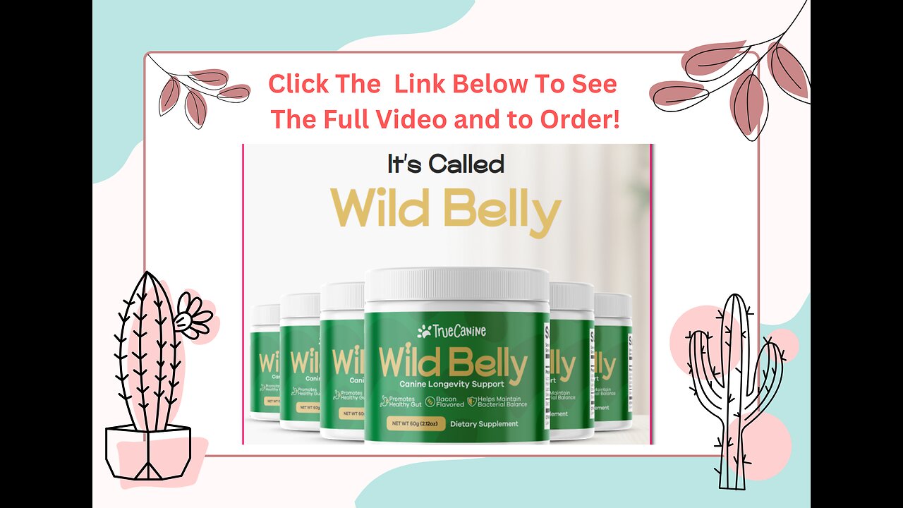 Probiotic Supplement For Your Dogs | Wild Belly|Click The Link Below...