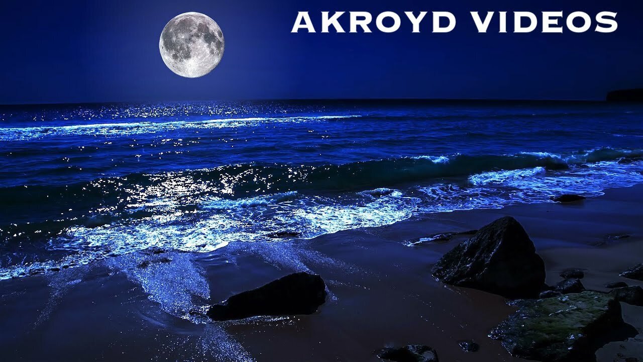 (AKROYD VIDEOS) PUSCIFER - HOLIDAY ON THE MOON