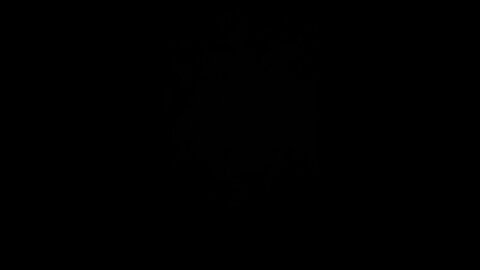 How to pronounce president