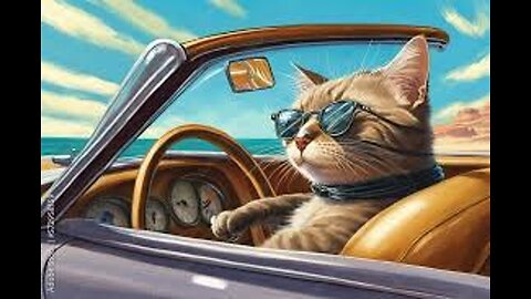 THE BEST CAT DRIVER