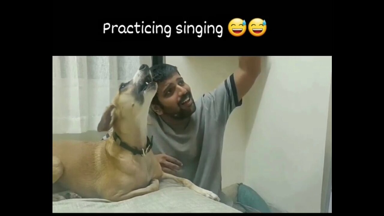 I m shocked😱😱😱 | This dog singing a song With his own | funny videos