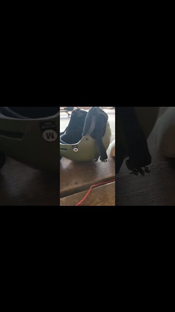 reading a book while charging