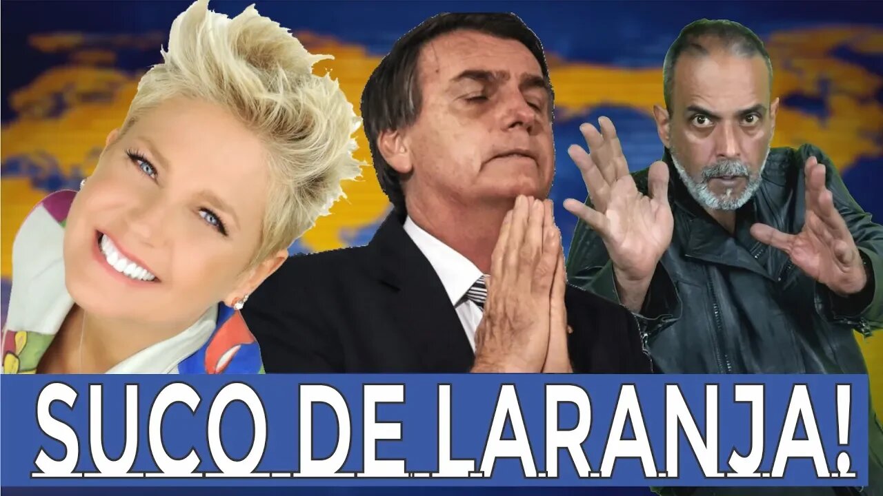 💥 XUXA E PRESIDENTE, O DINHEIRO QUE VAI PROS OUTROS, LARANJA É A COR MAIS QUENTE E HUMANOS CANINOS!