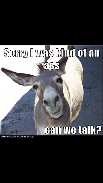 Abuser gets dragged by donkey