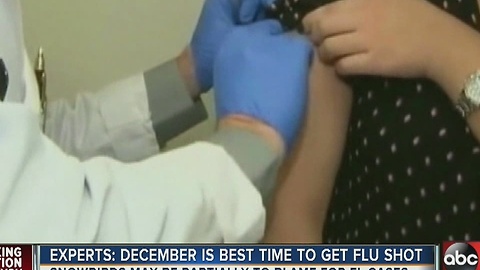 Health Experts: Snow birds could help spike number of flu cases