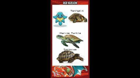 Part 1.6: Squirtle Overview