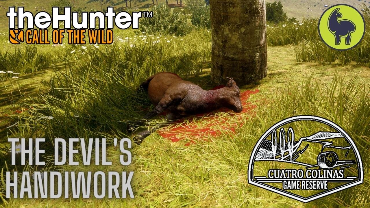 The Devil's Handiwork, Cuatro Colinas | theHunter: Call of the Wild (PS5 4K)