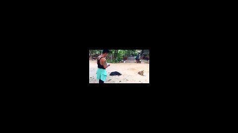 FUNNY VIDEOS OF THE FAKE LION PRANK MUST WATCH IT 🤣🤣🤣