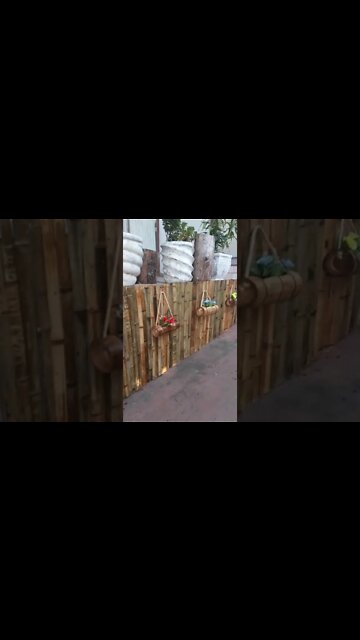 floreiras de bambu. #shorts