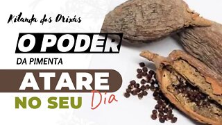 O PODER DE OXUM - a pimenta que traz a FELICIDADE | @Kitanda dos Orixás