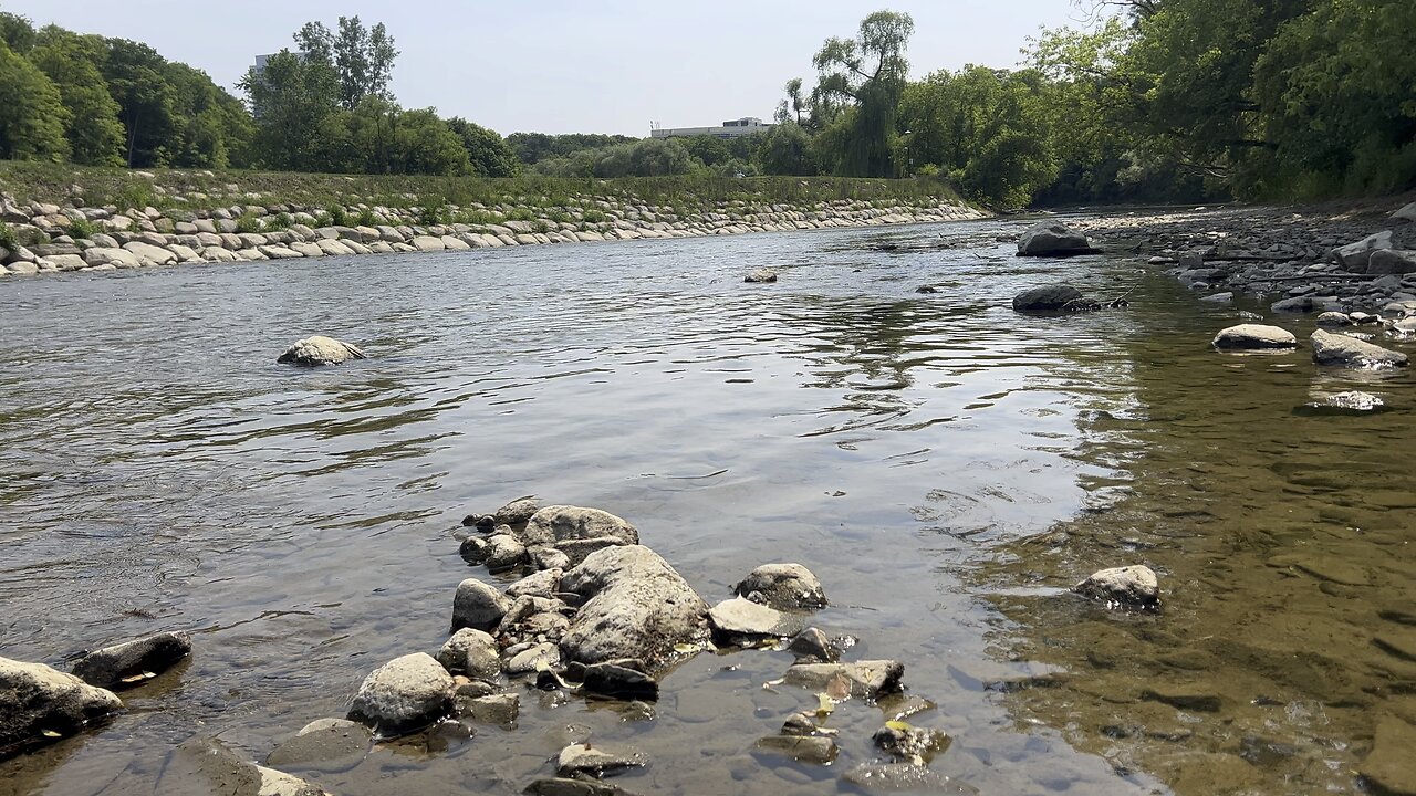 Humber River low flow
