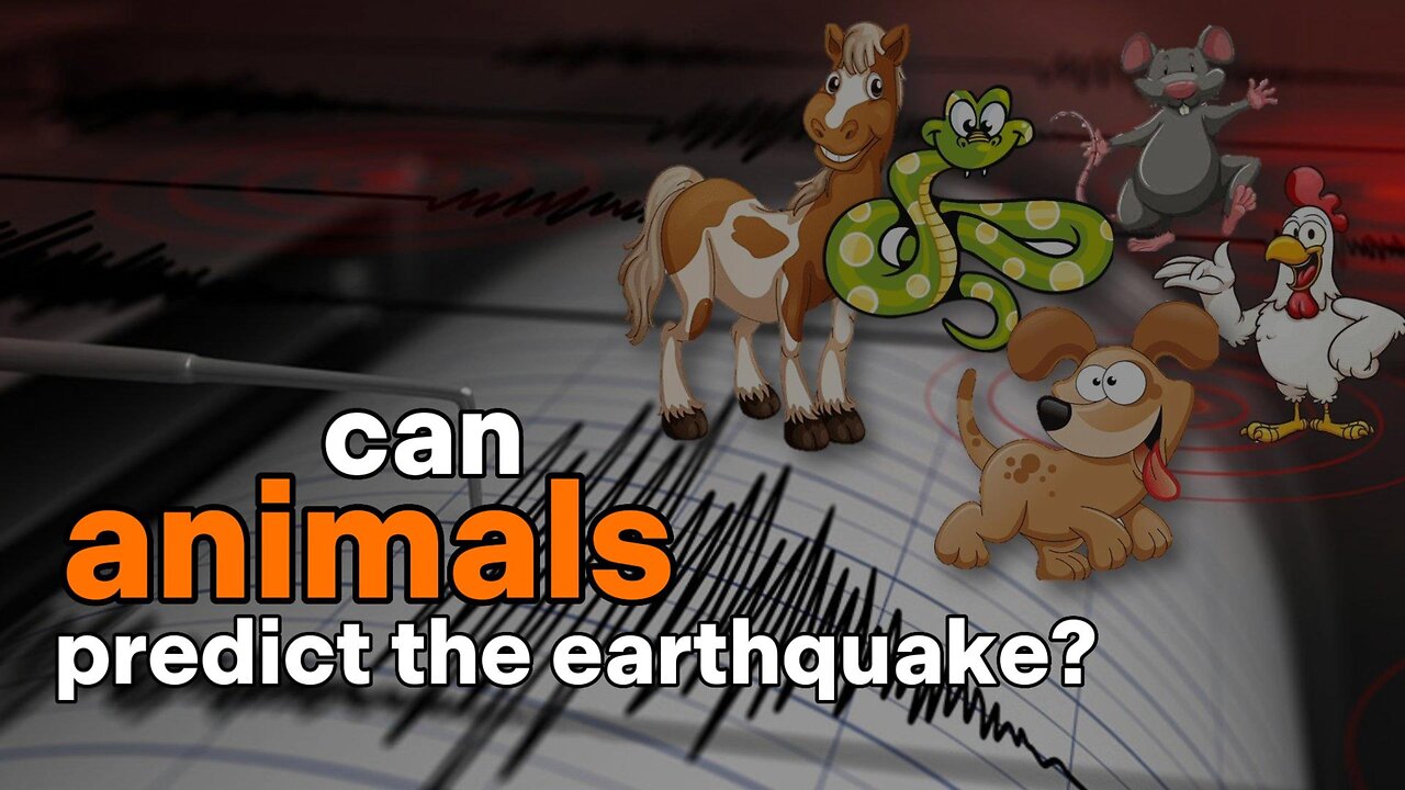 Can Animals Predict the Earthquake?