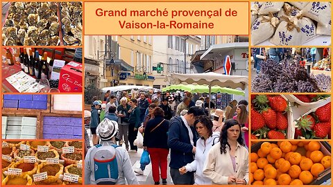 Provenzalischer Markt in Vaison-la-Romaine / Grand marché provençal de Vaison-la-Romaine