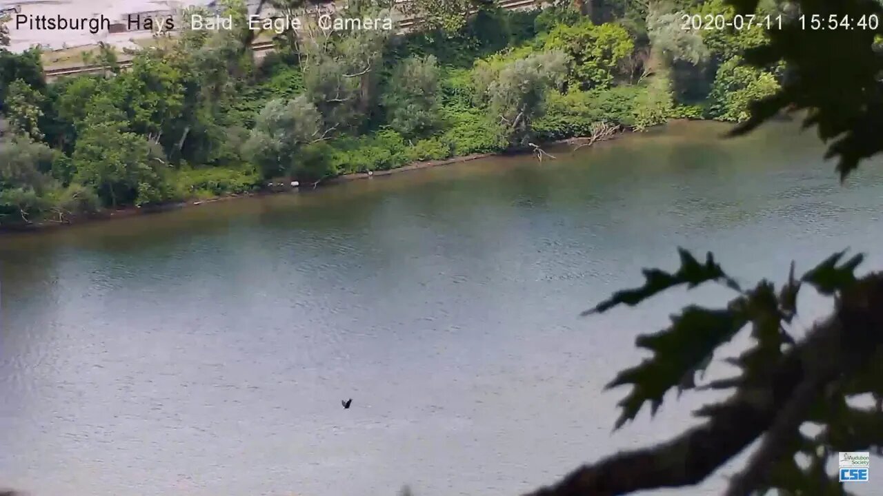 Hays Eagles flyby 07 11 20