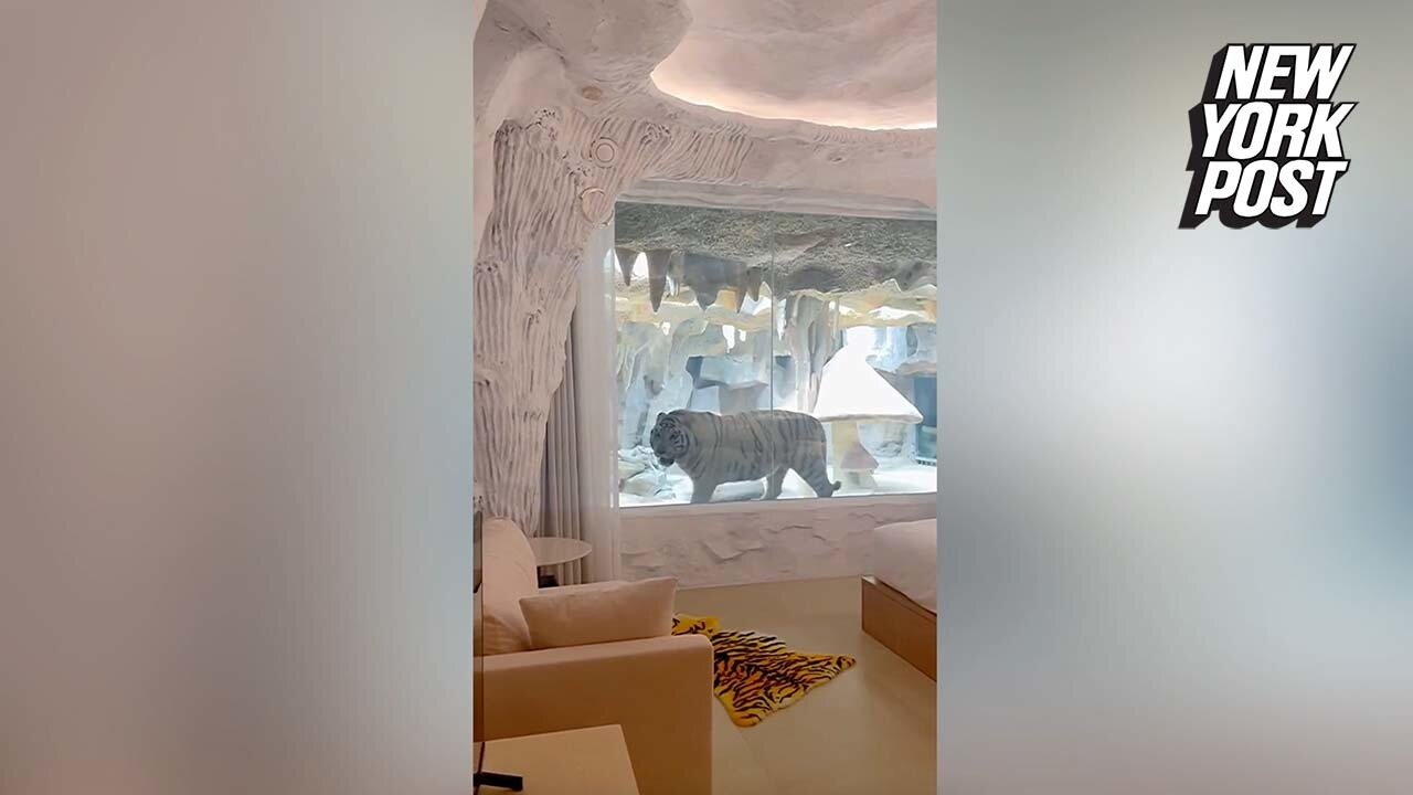 Live like a 'Tiger King' in this white-hot hotel