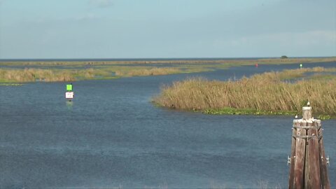 Environmentalists hopeful dike repairs will bring improved water quality