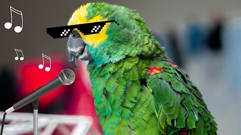 FUNNY PARROTS SINGING 🎤- TRY NOT TO LAUGH | Funny