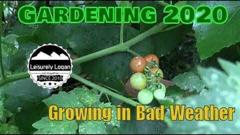 Gardening 2020: Growing a garden in Bad Weather and Bad Locations