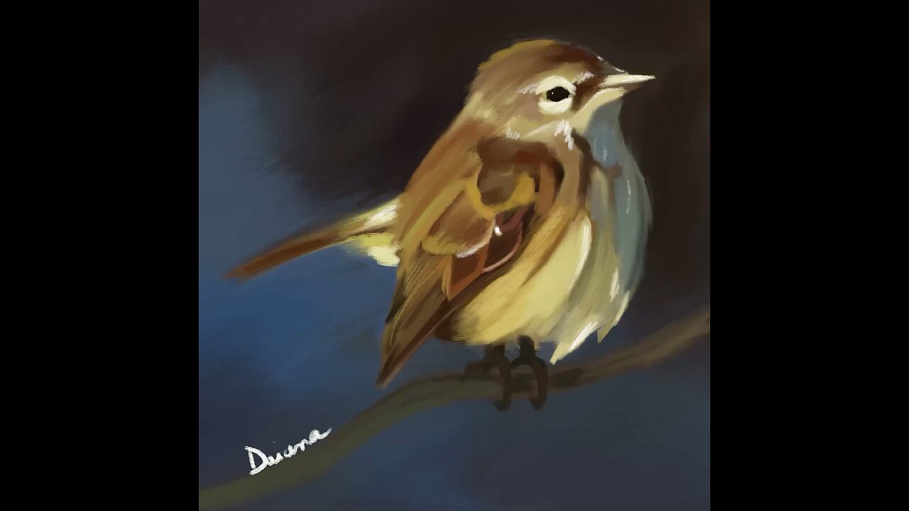 Procreate art | Bird | digital painting