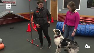 WELLNESS WEDNESDAY 4-20-2022 CANINE FITNESS MONTH ADVENTURE K-9 6AM HIT