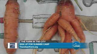 Summer Camp! // The Urban Farm