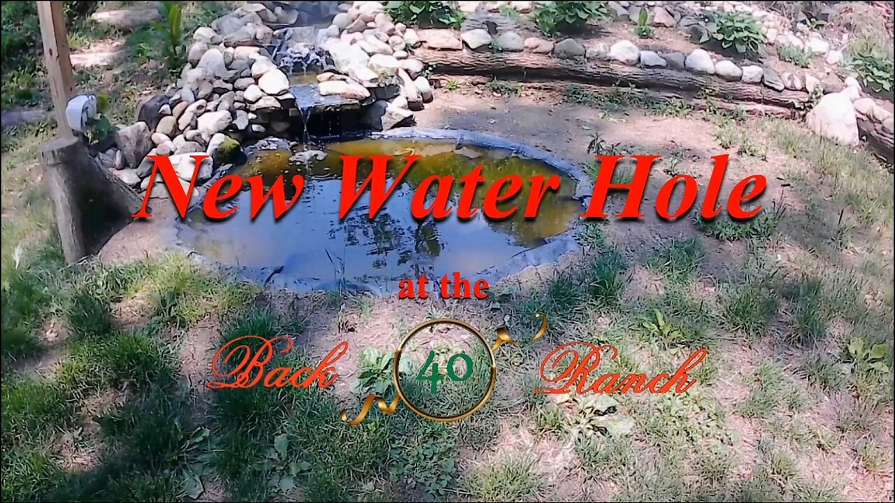 The new water hole is up and running!