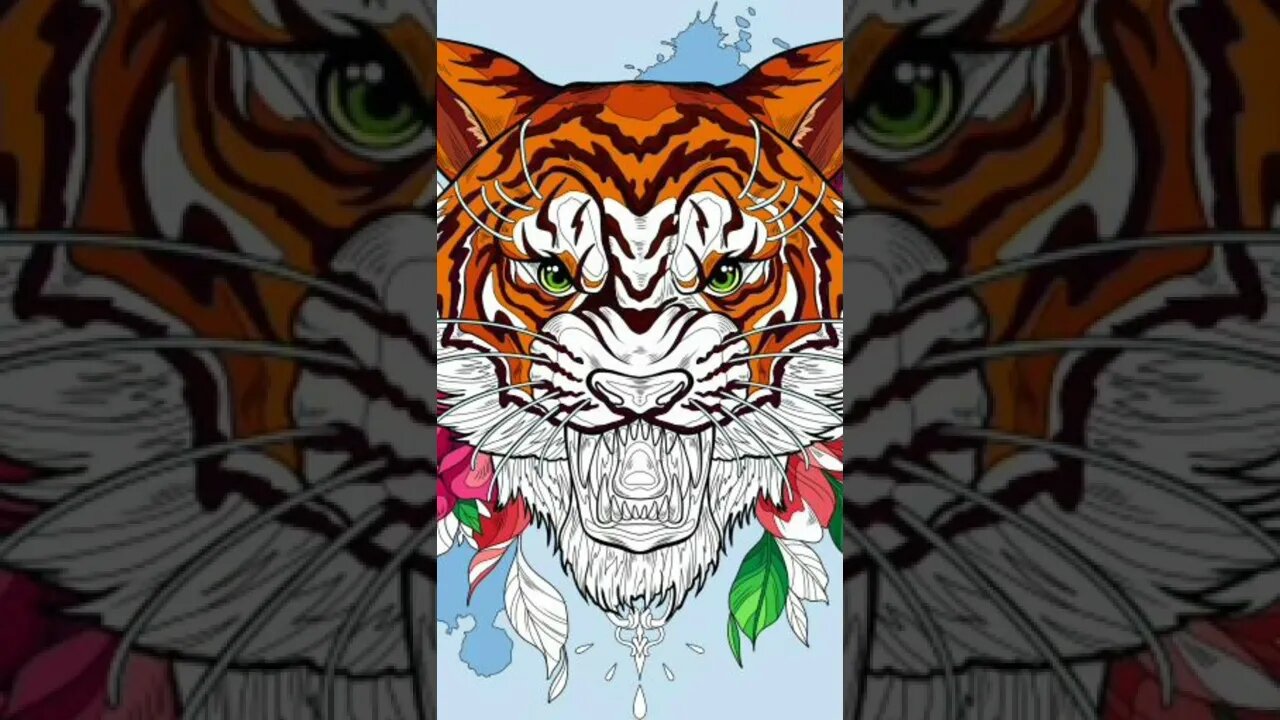 Here is a tiger