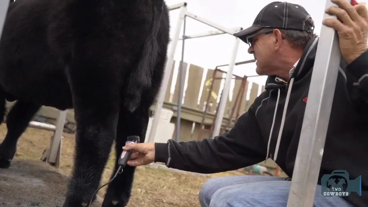 Two Cowboys Get to Know Our Community and Food at the Annual (2019) Rock Creek Fair, Boundary, BC