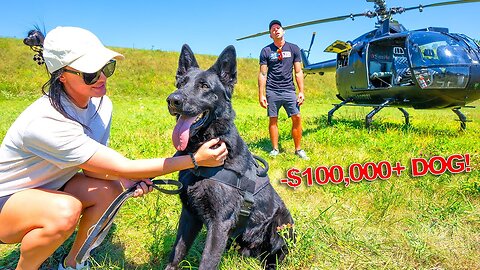 NO WAY!! Her New $100k Guard Dog Flys In My Helicopter for The First Time & Jumps Out!